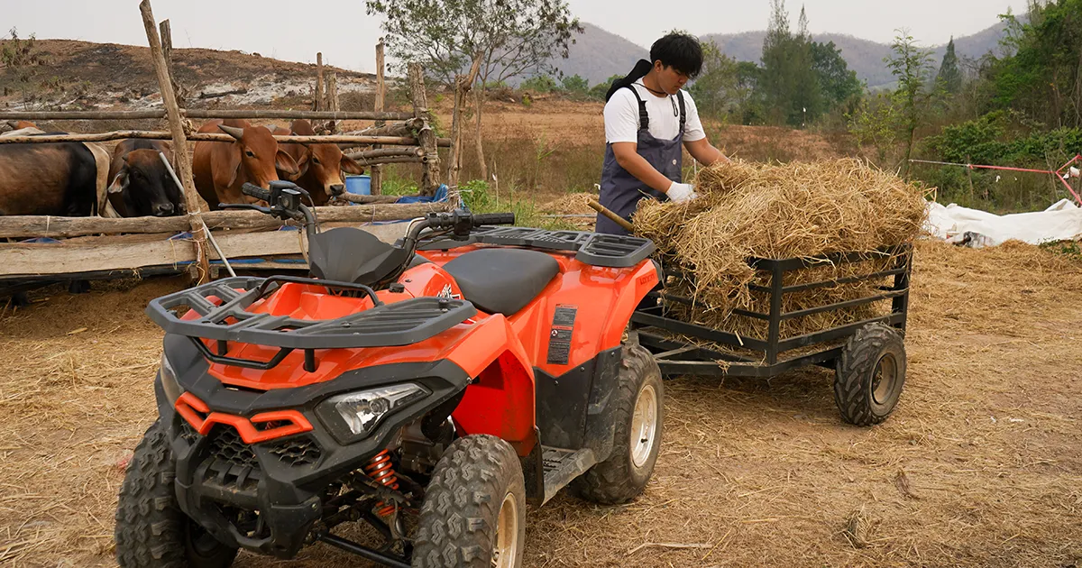 ATV สำหรับงานเกษตร ลากของ ใช้งานในฟาร์ม
