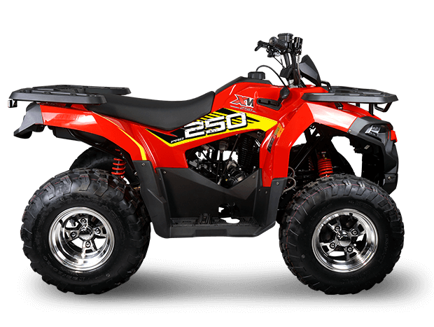 ATV XWOLF 250 PRO