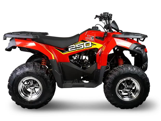 ATV XWOLF 250 PRO
