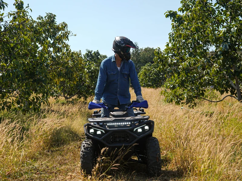 Front Action — Orchard Trail