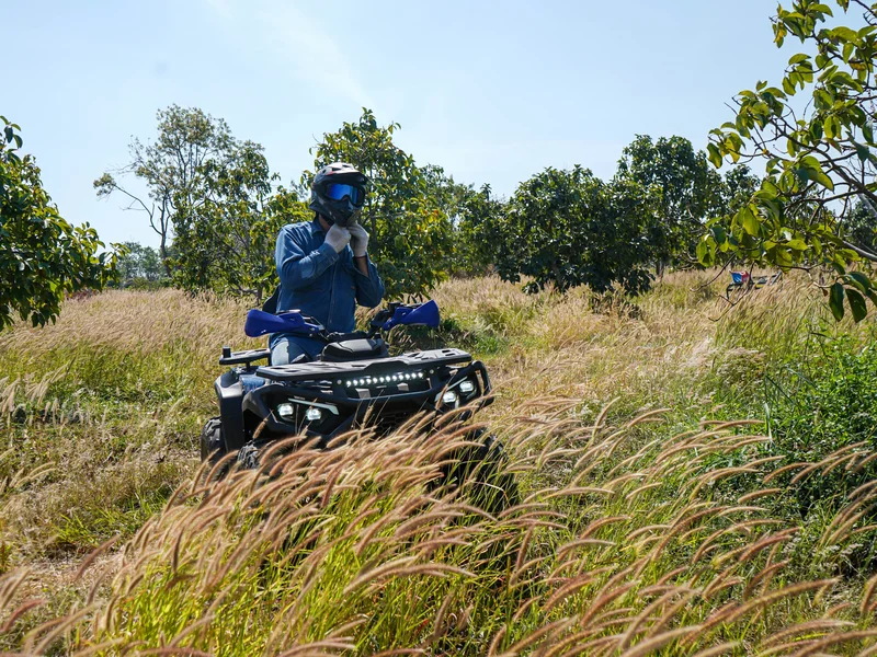 Rider in Tall Grass